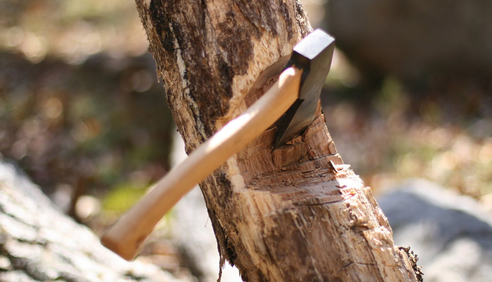 cutting tree axe