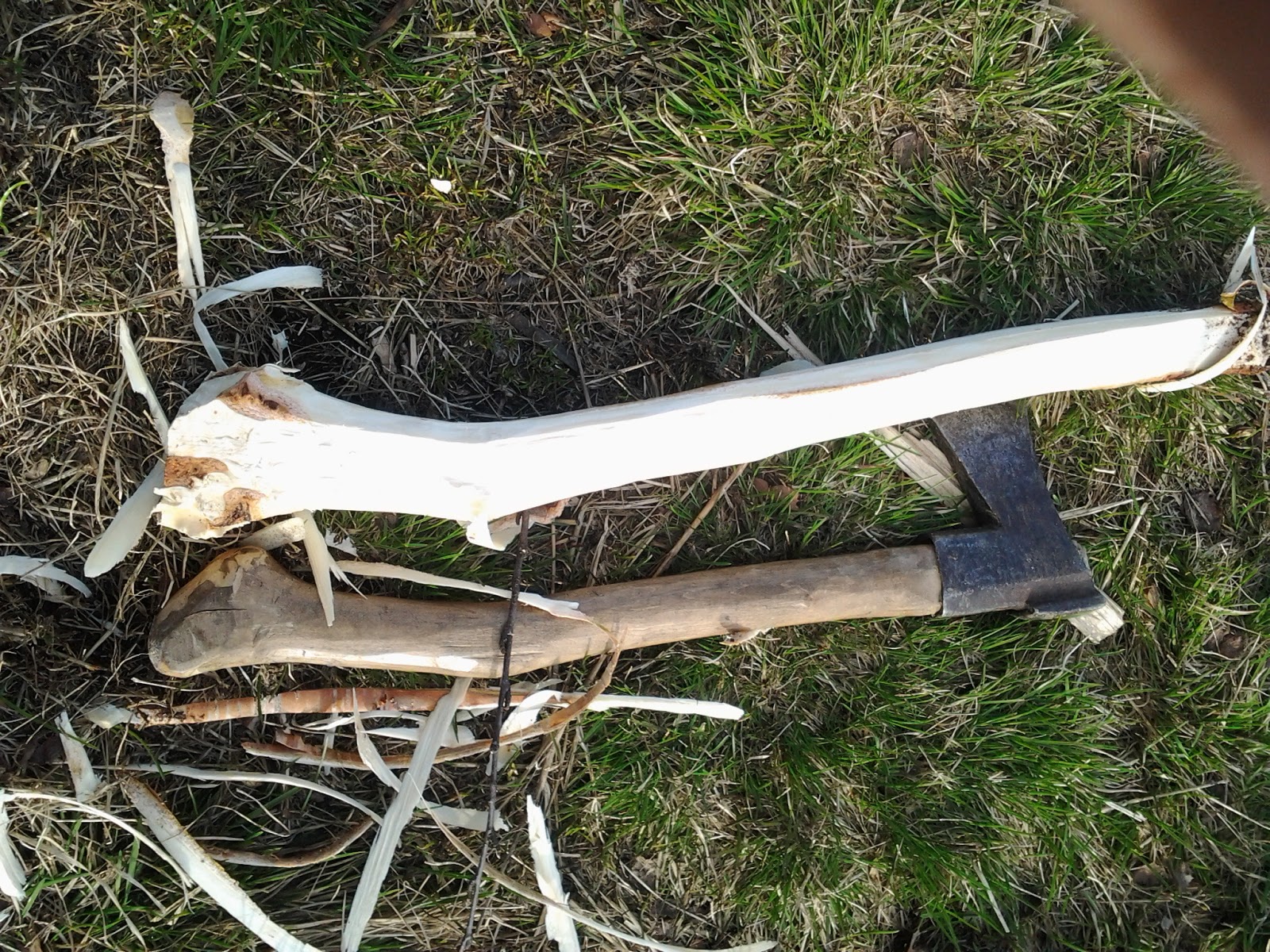 axe handle wood