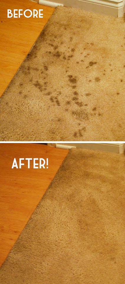 cleaning hacks carpet stains